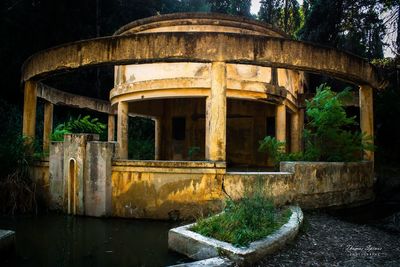 Abandoned building by trees