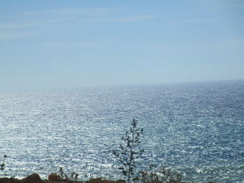 Scenic view of sea against clear sky