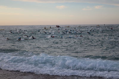 Swimmers swimming in sea against sky