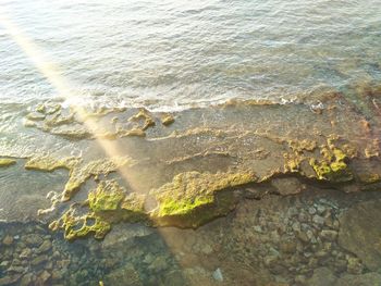 High angle view of sand at beach