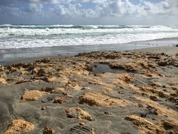 Scenic view of beach against sky