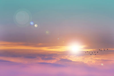 Sunrise and flare back horizon sky with pastel cloud and fog over with birds flying