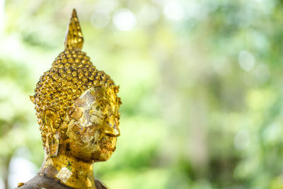 Close-up of golden buddha statue