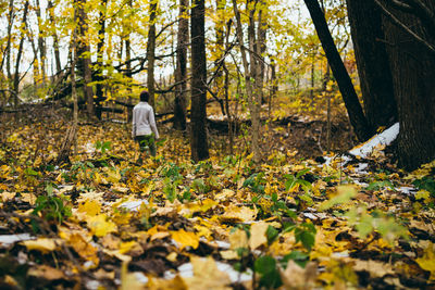 Rear view of person standing in autumn leaves