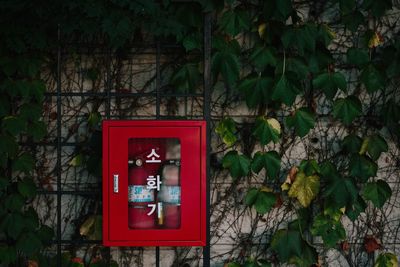 Close-up of red mailbox on wall