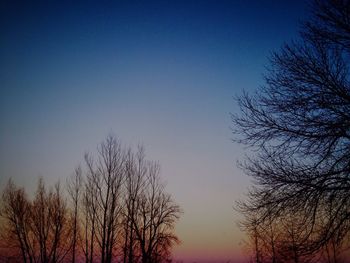 Low angle view of bare trees against sky