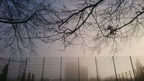 Low angle view of bare tree against sky