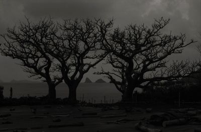 Silhouette bare tree by sea against sky