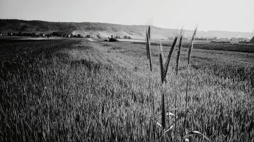 View of field against cloudy sky