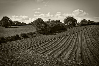 Scenic view of field against cloudy sky