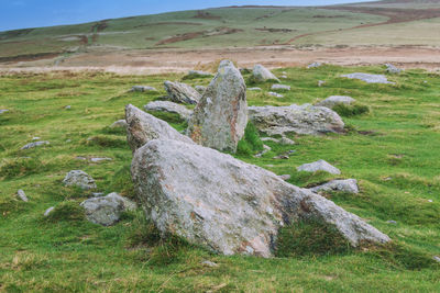 Rocks on field