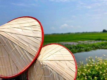 Traditional vietnamese straw hats 