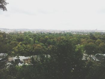 Scenic view of trees against sky