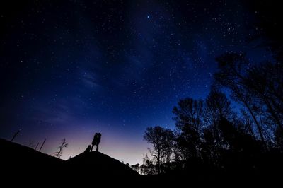 Low angle view of silhouette trees against star field at night