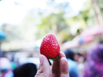 Midsection of person holding strawberry