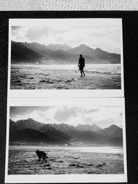 Silhouette people on beach against sky