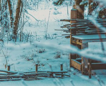 Frozen lake in winter