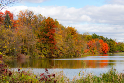 Scenic view of lake by trees against sky