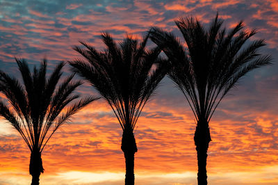 Silhouette palm trees against romantic sky at sunset