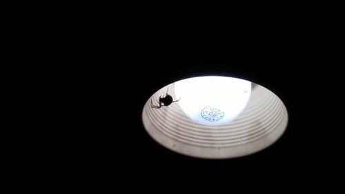 Low angle view of illuminated electric lamp