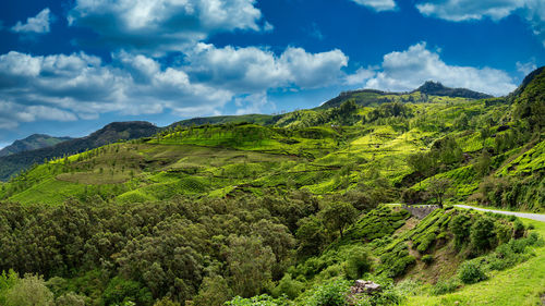 Beautiful landscape at munnar valley, kerala, india