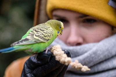 Close-up of girl feeding bird outdoors