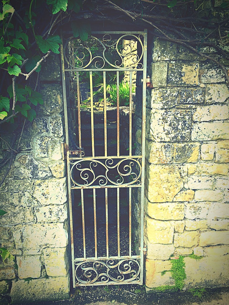 architecture, built structure, closed, door, building exterior, entrance, gate, window, wall - building feature, arch, day, pattern, safety, protection, plant, no people, green color, tree, design, metal