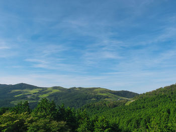 Scenic view of green landscape against sky