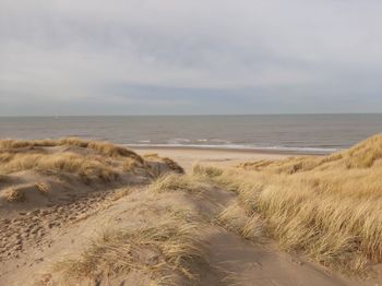 Scenic view of beach against sky
