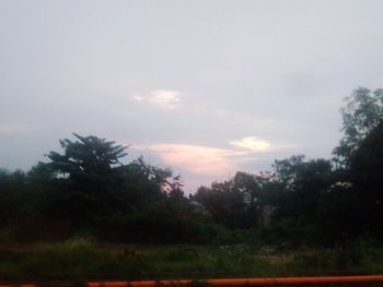 Trees on field against sky during sunset