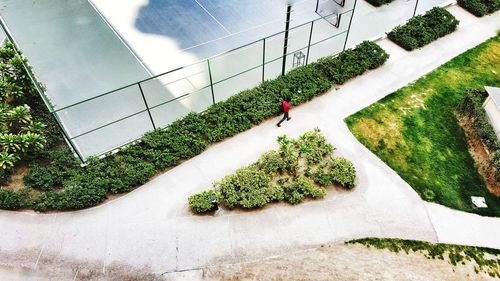 High angle view of man amidst plants