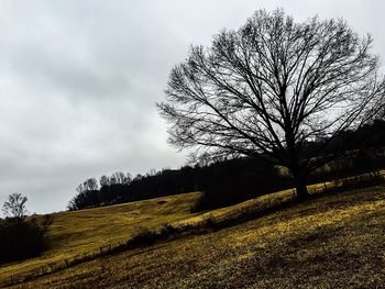 Bare trees on field against cloudy sky