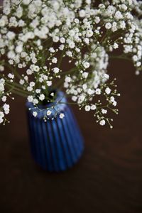 Close-up of white flowering plant hanging against blue sky