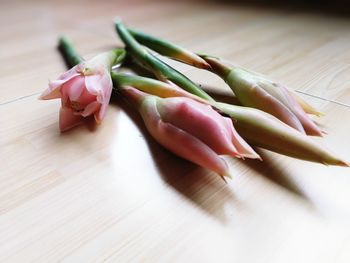 Close-up of flower on table