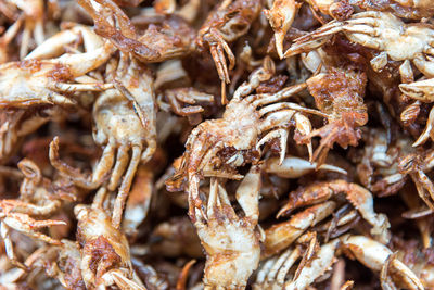 Full frame shot of cooked crabs