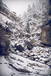 Snow covered rocks and trees against sky