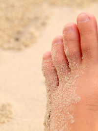 Low section of man at beach