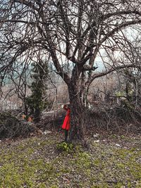 Person standing by tree in forest