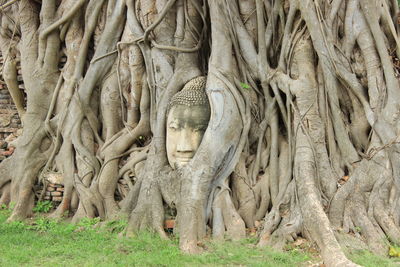 Sculpture of tree trunk