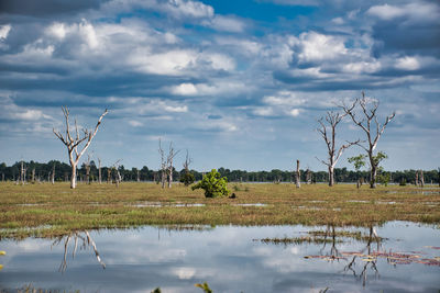 Scenery view of a lake with dead trees around neak poan temple in cambodia
