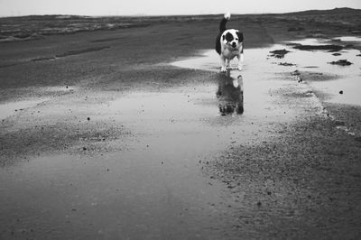 Group of people on beach