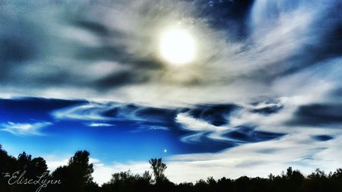 Low angle view of silhouette trees against sky