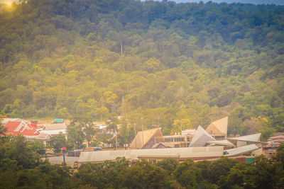 High angle view of trees and buildings in forest