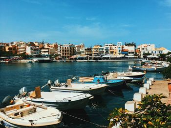 Sailboats moored in harbor by city against sky