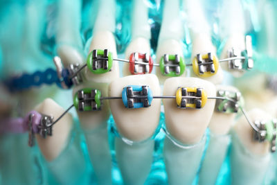 Close-up of artificial teeth