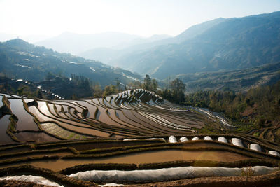 Scenic view of rice paddy mountains against sky