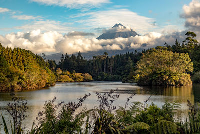 Scenic view of lake by trees against sky