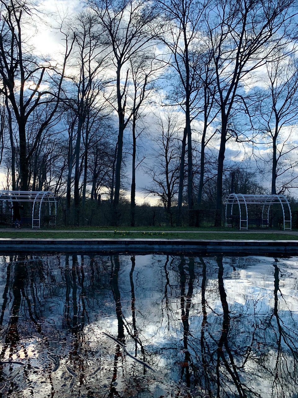 REFLECTION OF BARE TREES IN LAKE IN PARK