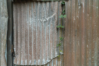 Full frame shot of weathered wall