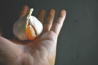 Close-up of hand holding fruit